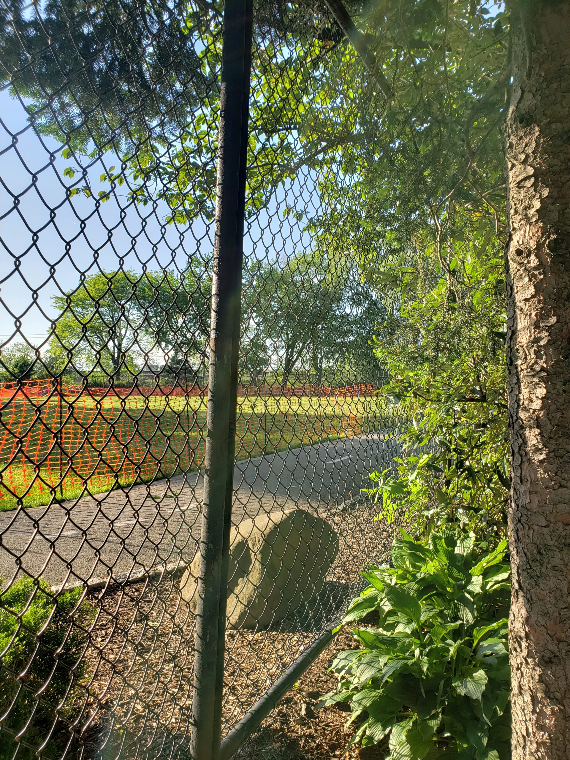 fences